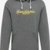 Schmuddelwedda Sweats à Capuche Sweat-shirt Homme Gris Chiné